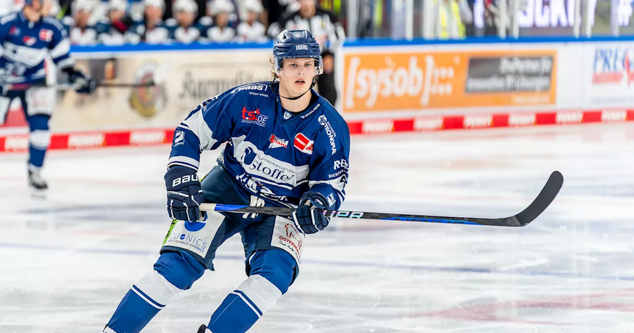 Können die Straubing Tigers im fünften Spiel die Eisbären Berlin bezwingen?