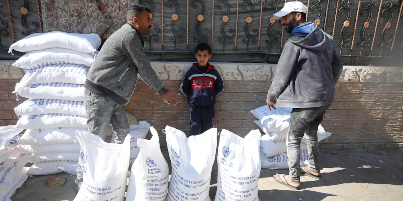 Cos’è e cosa fa l’UNRWA