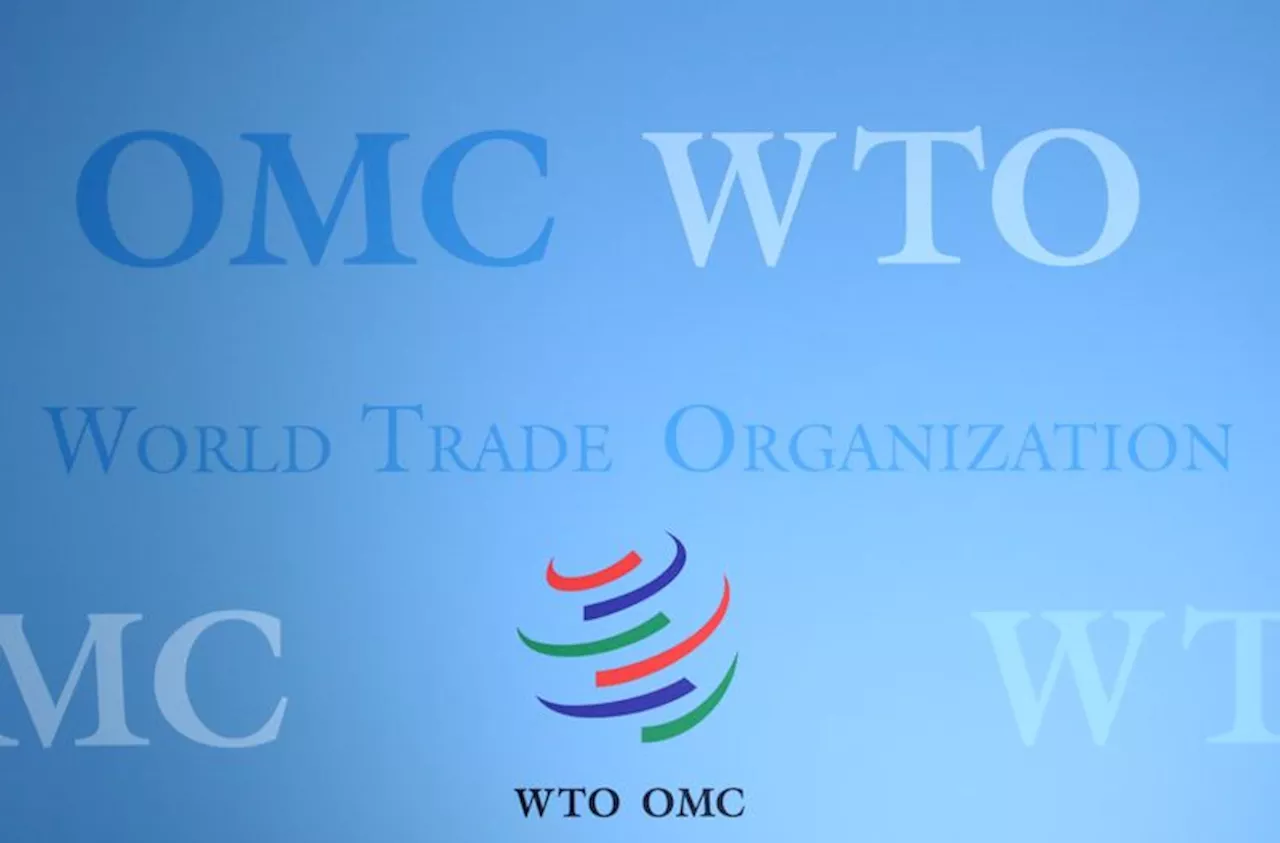 WTO senkt Welthandels-Prognose nach Abschwung im Vorjahr