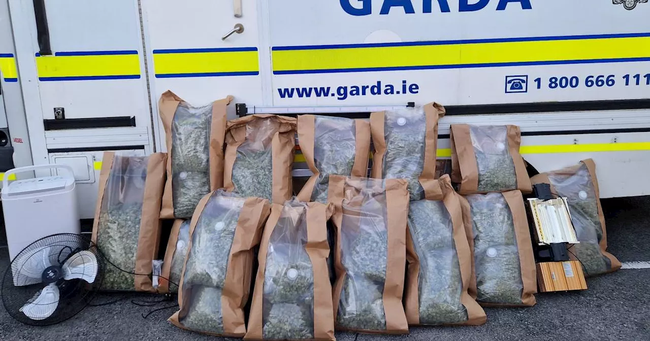 Three Men Arrested in Drug Trafficking Operation in Co Roscommon