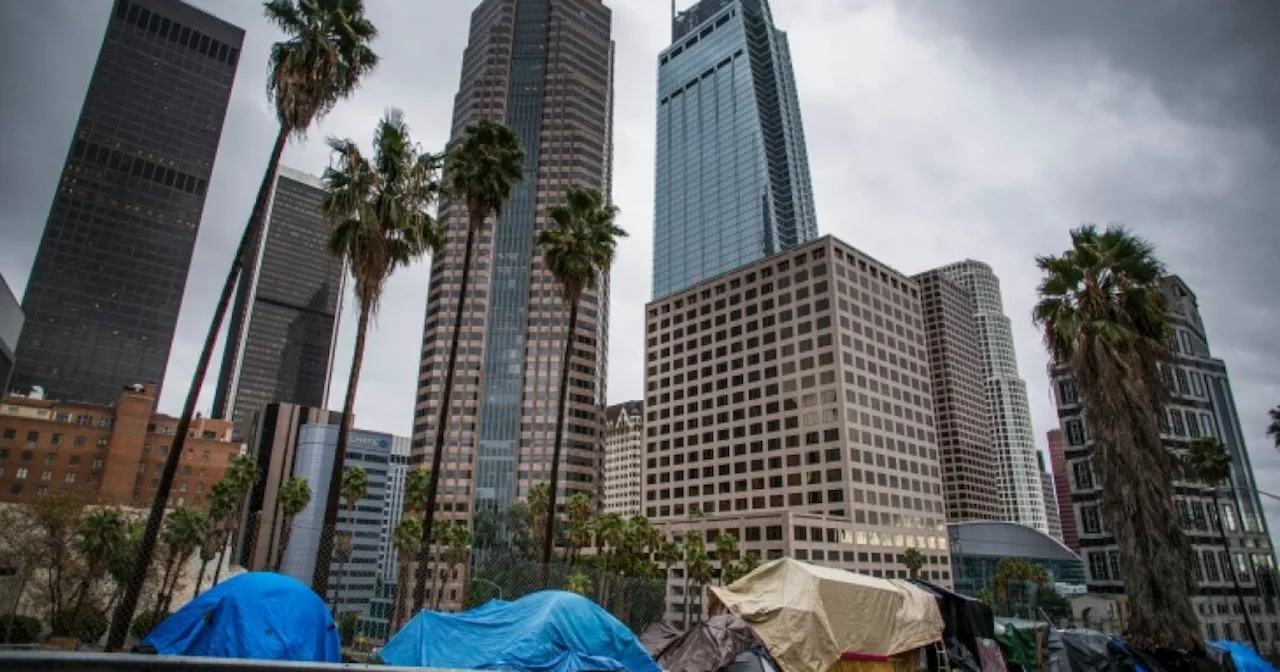 Judge Picks Auditor To Assess Homeless Services in LA