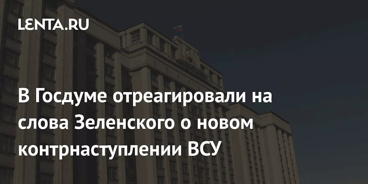 В Госдуме отреагировали на слова Зеленского о новом контрнаступлении ВСУ