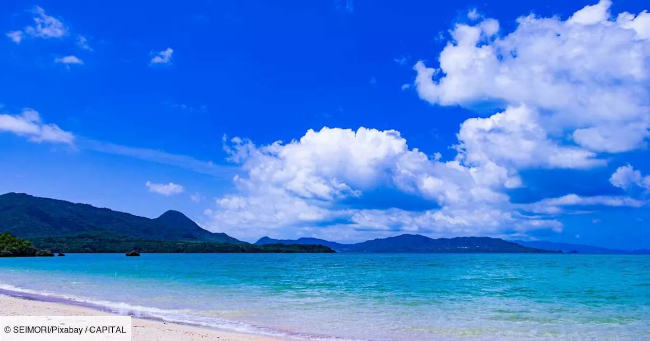 Ces entreprises envoient leurs employés allergiques aux pollens sur des îles paradisiaques !