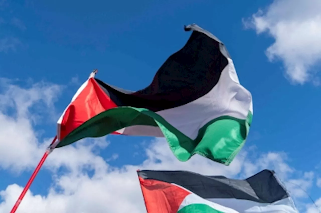 Ireland poised to recognise Palestinian statehood, says minister