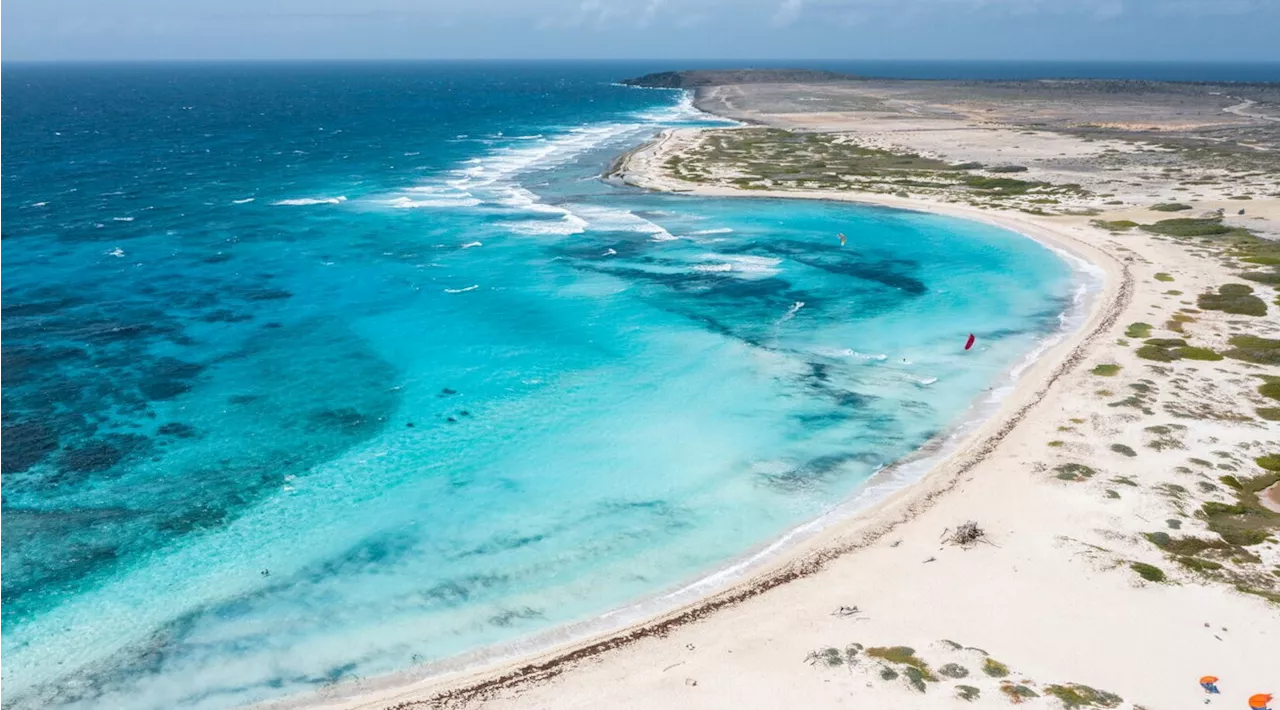 La Costa Nord-Est di Aruba: un lato selvaggio da scoprire