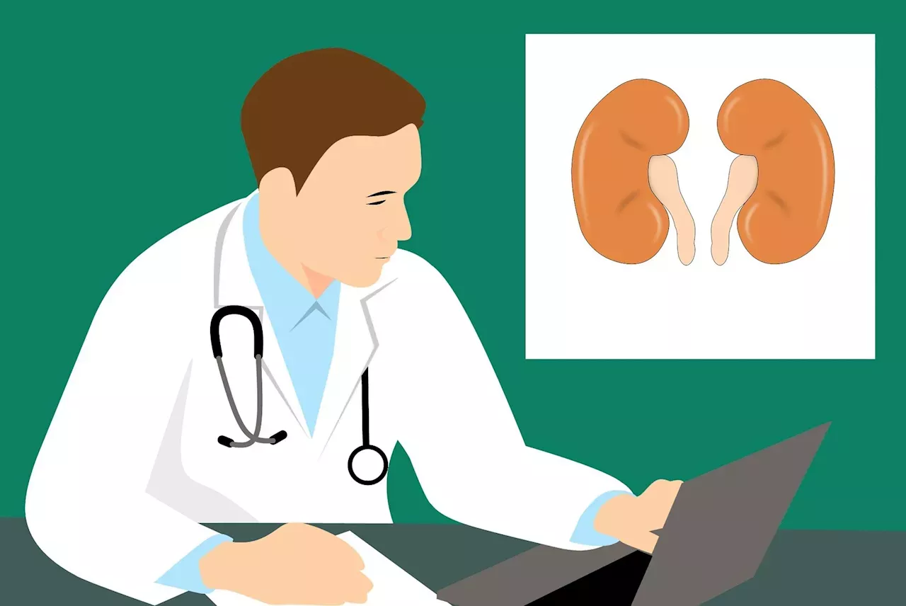 Medicine Research: How to keep your kidneys healthy, and how to spot ...