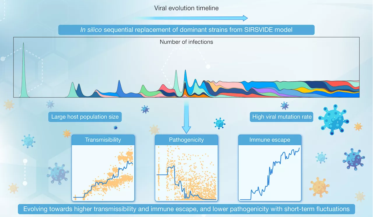 Modeling viral evolution: A novel computational model with application to SARS-CoV-2 dynamics