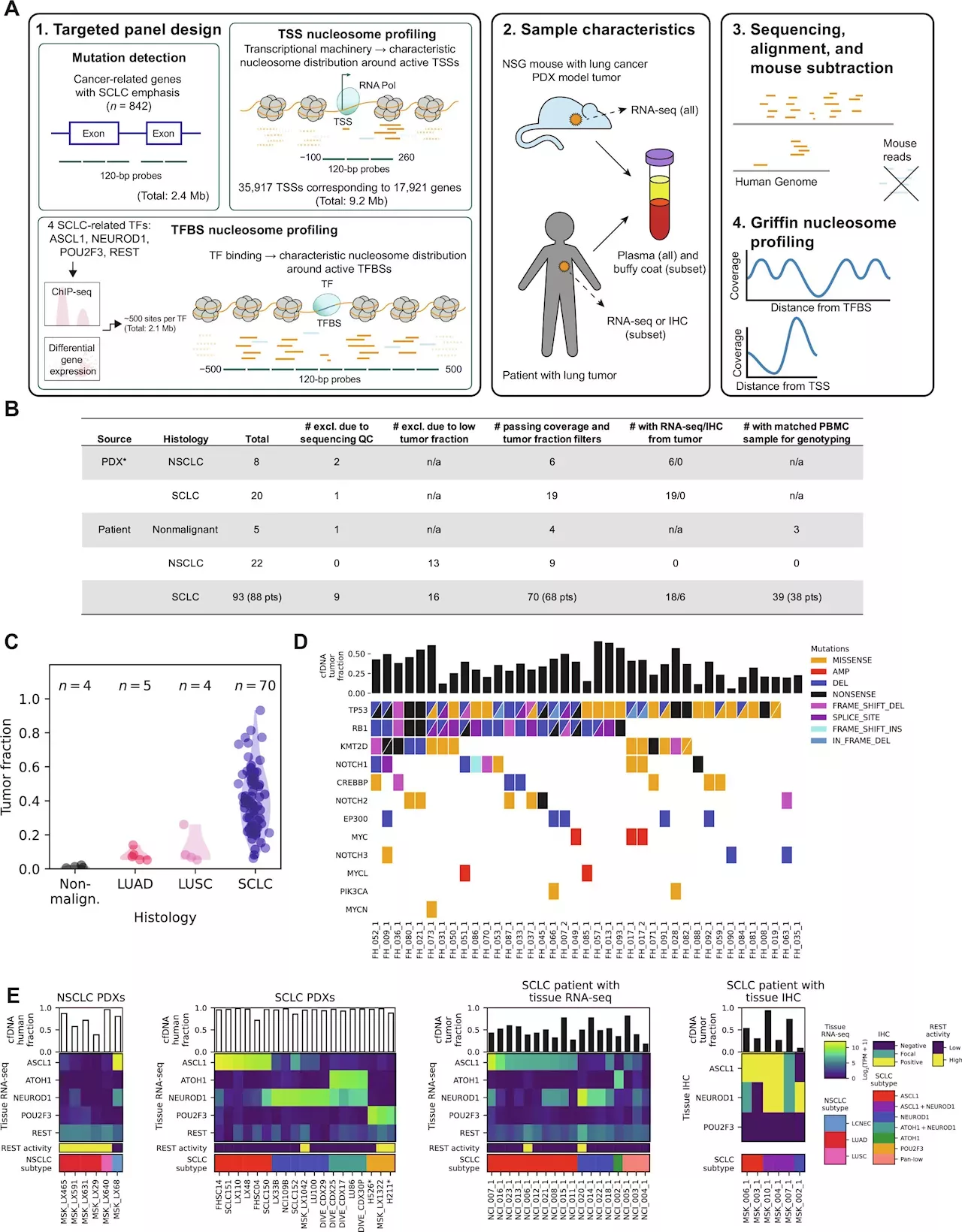 Medicine Research: Study suggests liquid biopsy could detect and ...