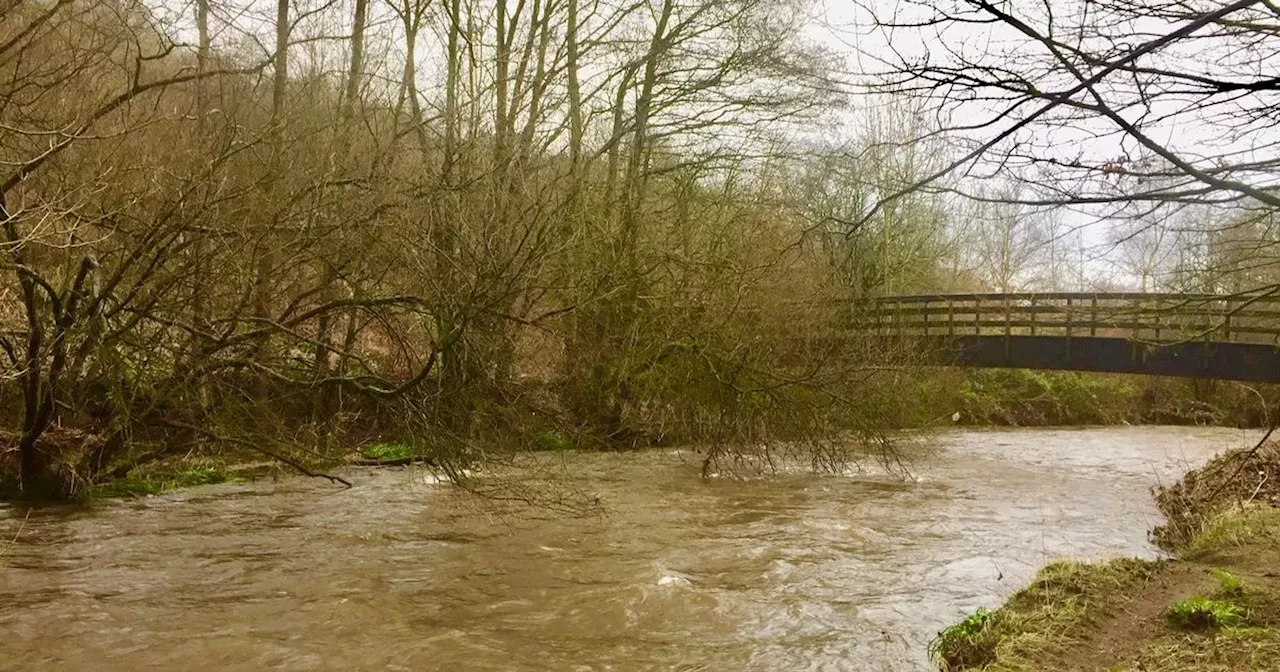 Teenage boy dies after falling into river while canoeing