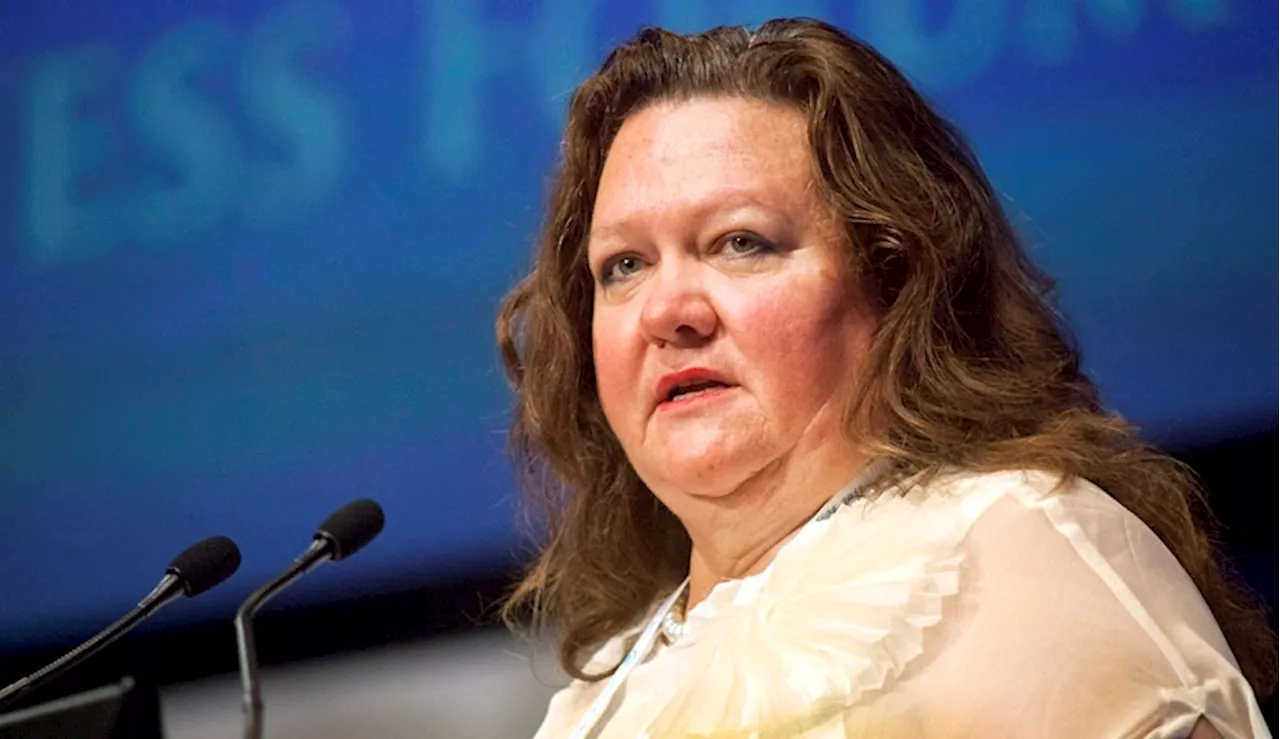 Australian magnate Rinehart takes stake in MP Materials