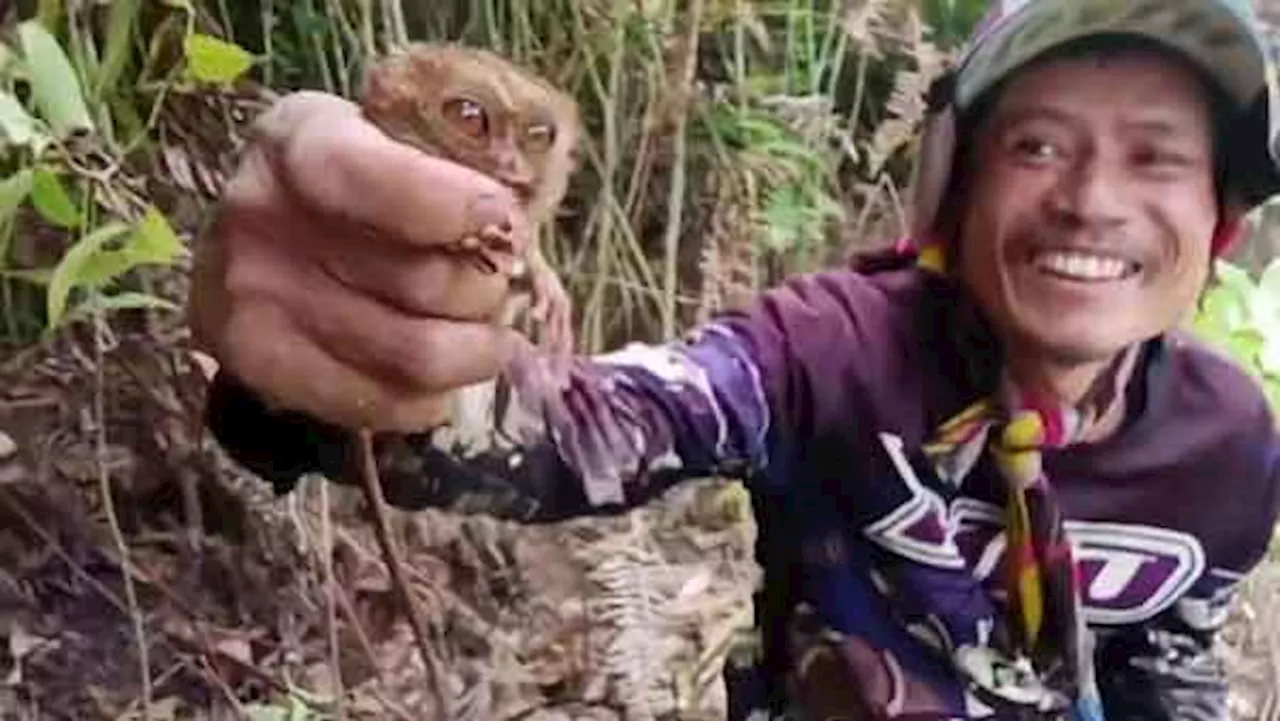 #ANONGBALITA Vlogger bashed over video with caught tarsiers