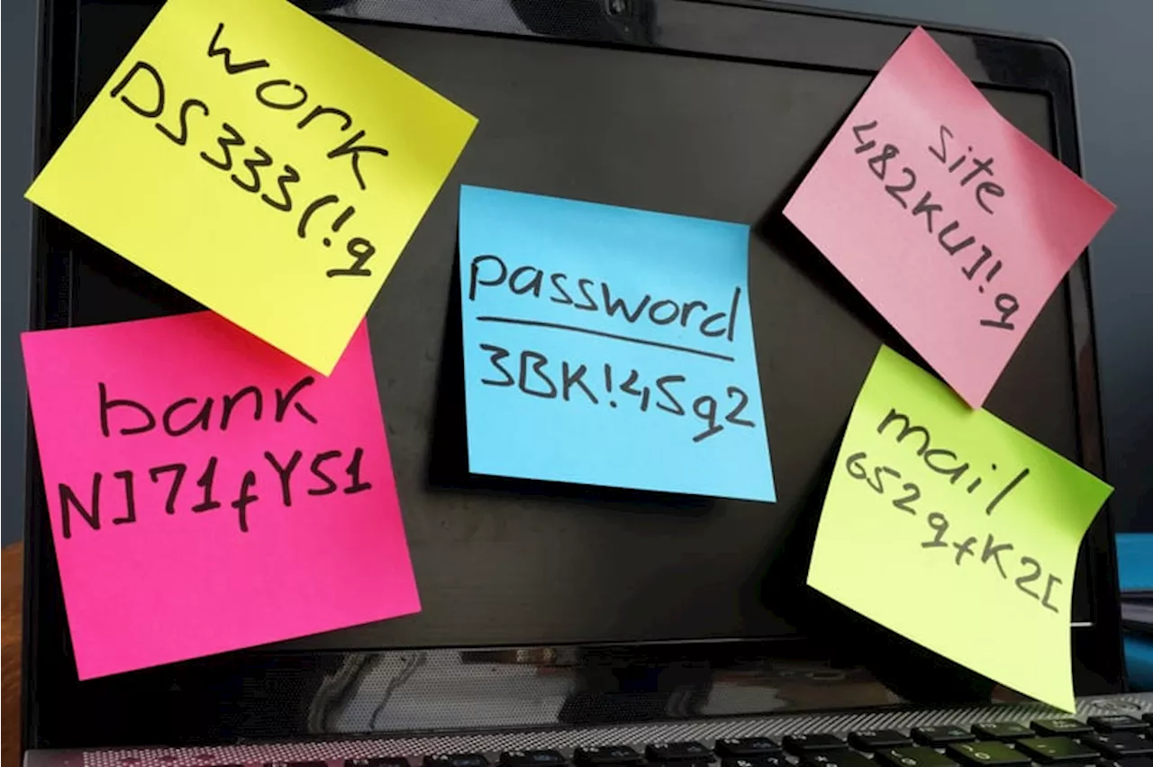 Best security software to protect your passwords