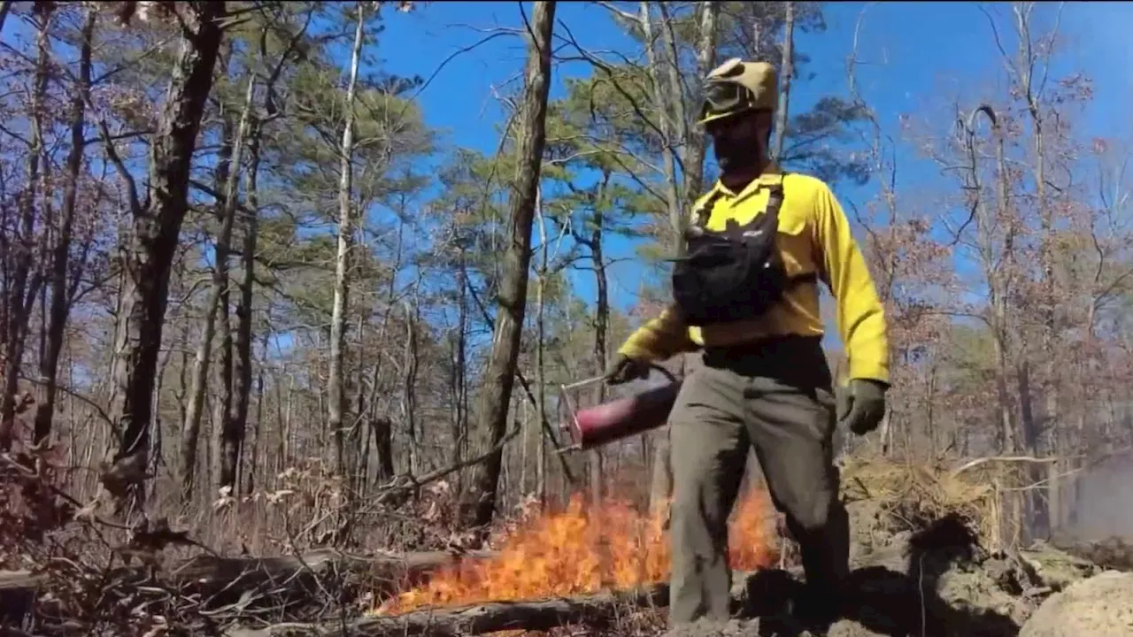 NJDEP Holds Press Conference on Wildfire Season Updates and Safety Tips