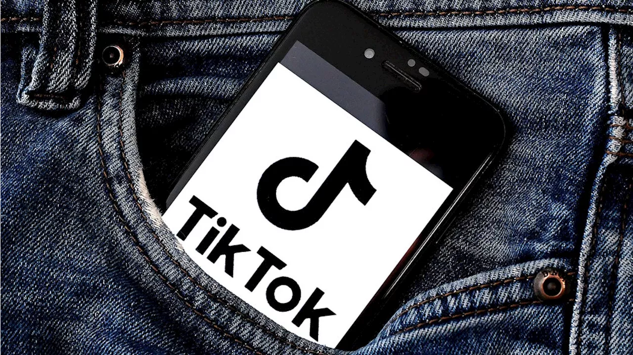 TikTok und Instagram: Politik im Wettbewerb um Reichweiten