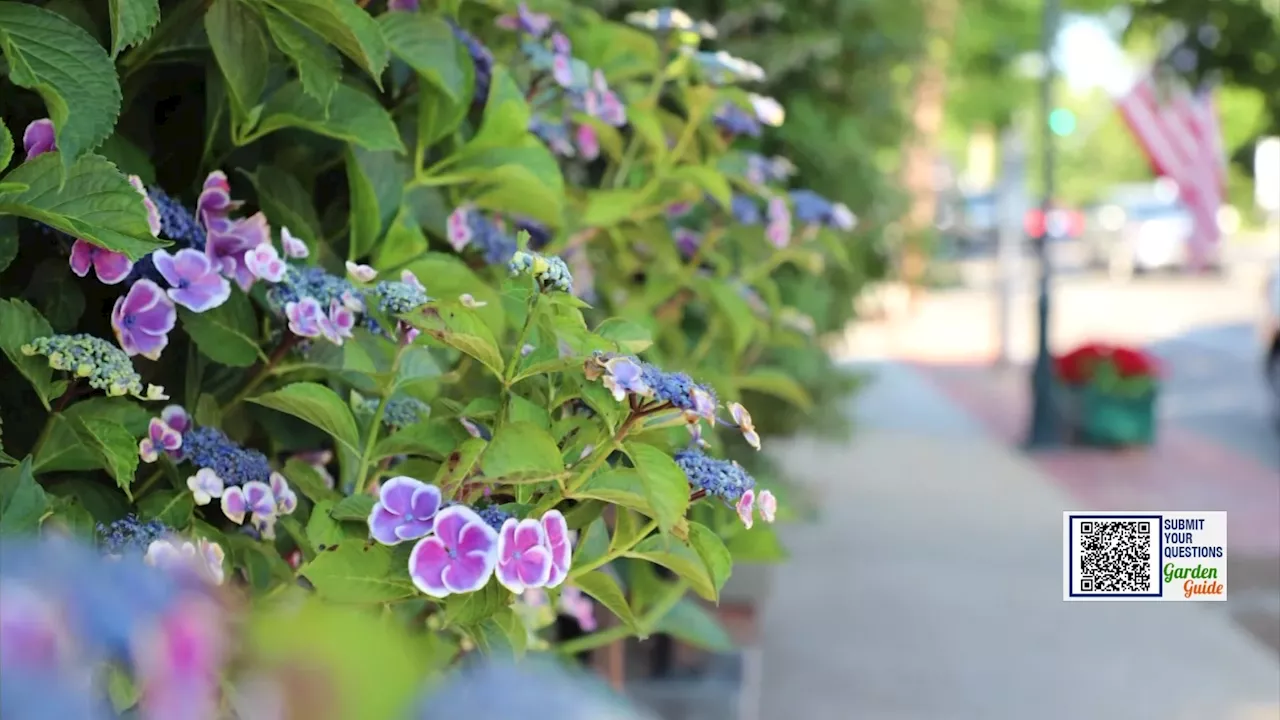 Garden Guide: Do these garden chores in April for beautiful plants all season long