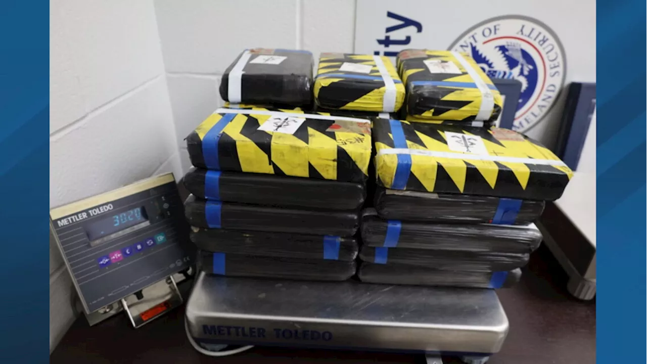 U.S. Customs Officers Seize over $888,000 of cocaine in major bust