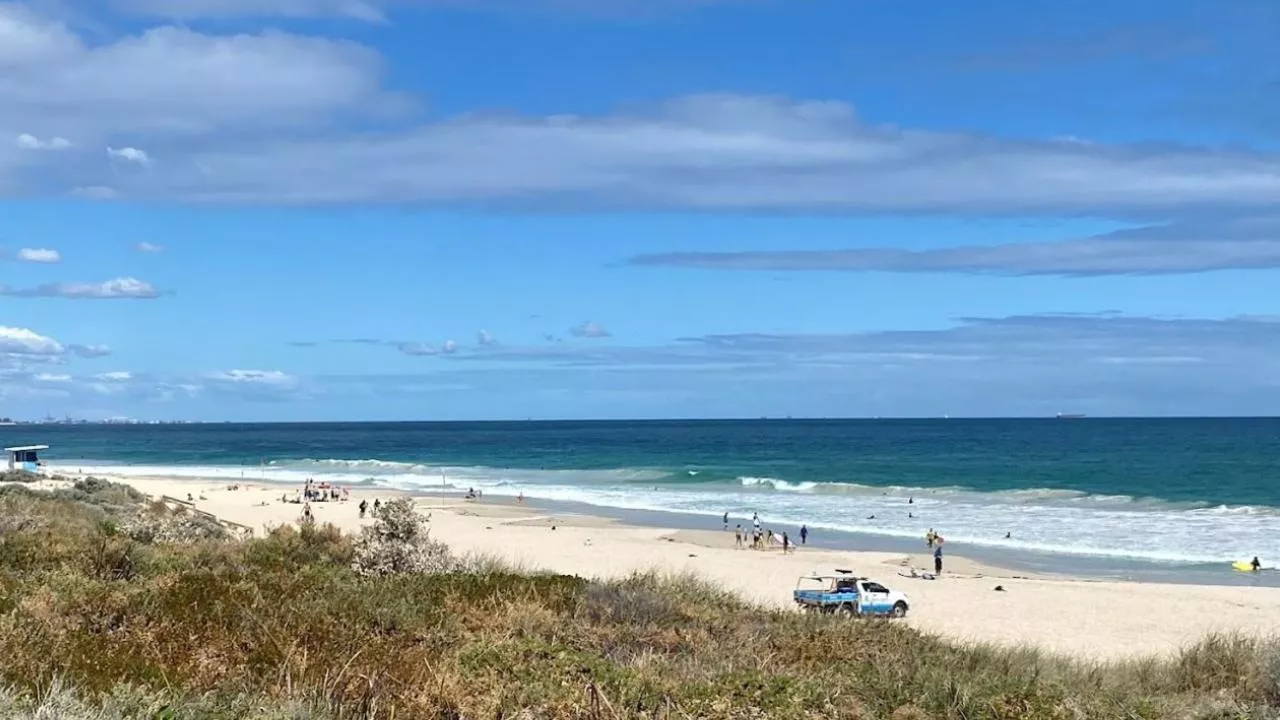 Police shoot Staffy at popular beach