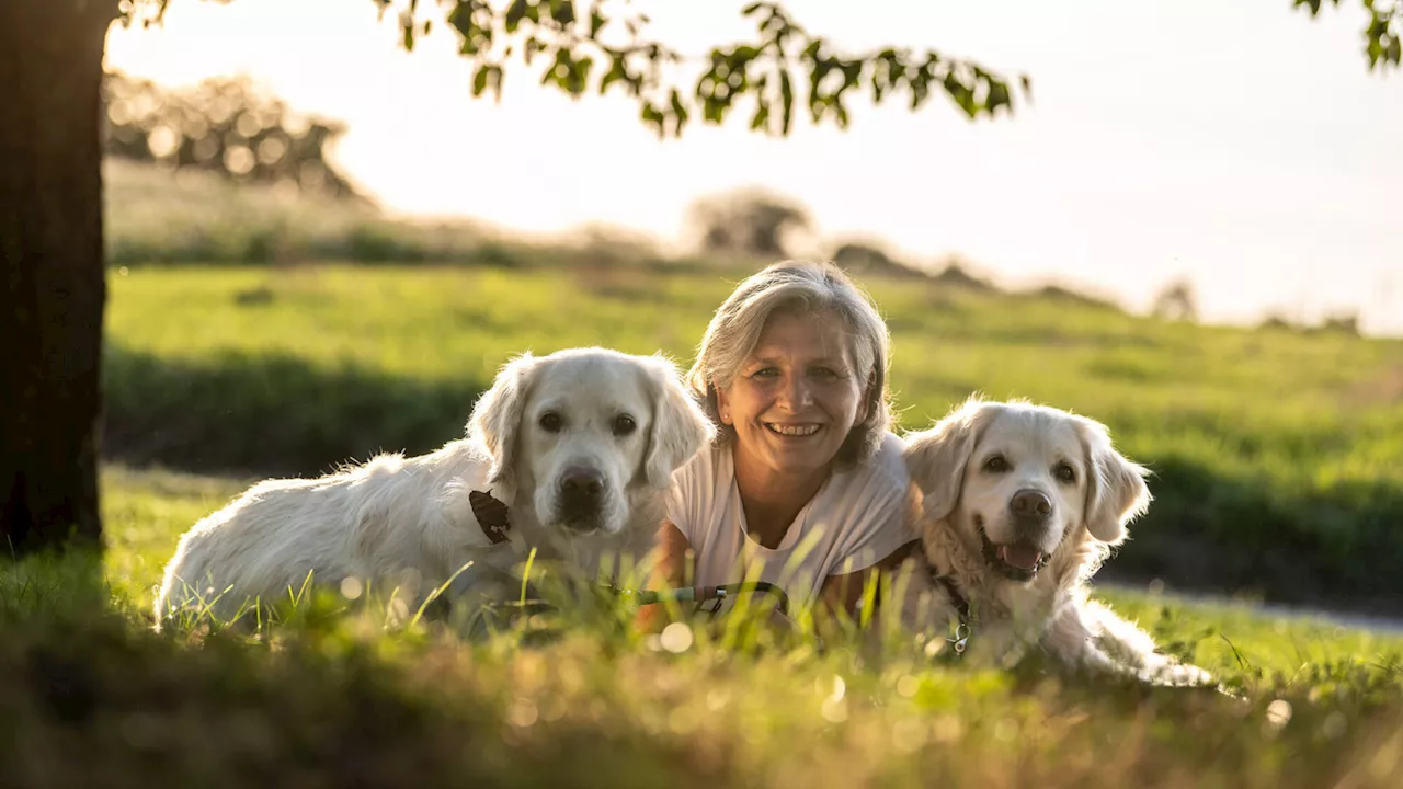 Andrea Donlagic - Hundecoach mal anders