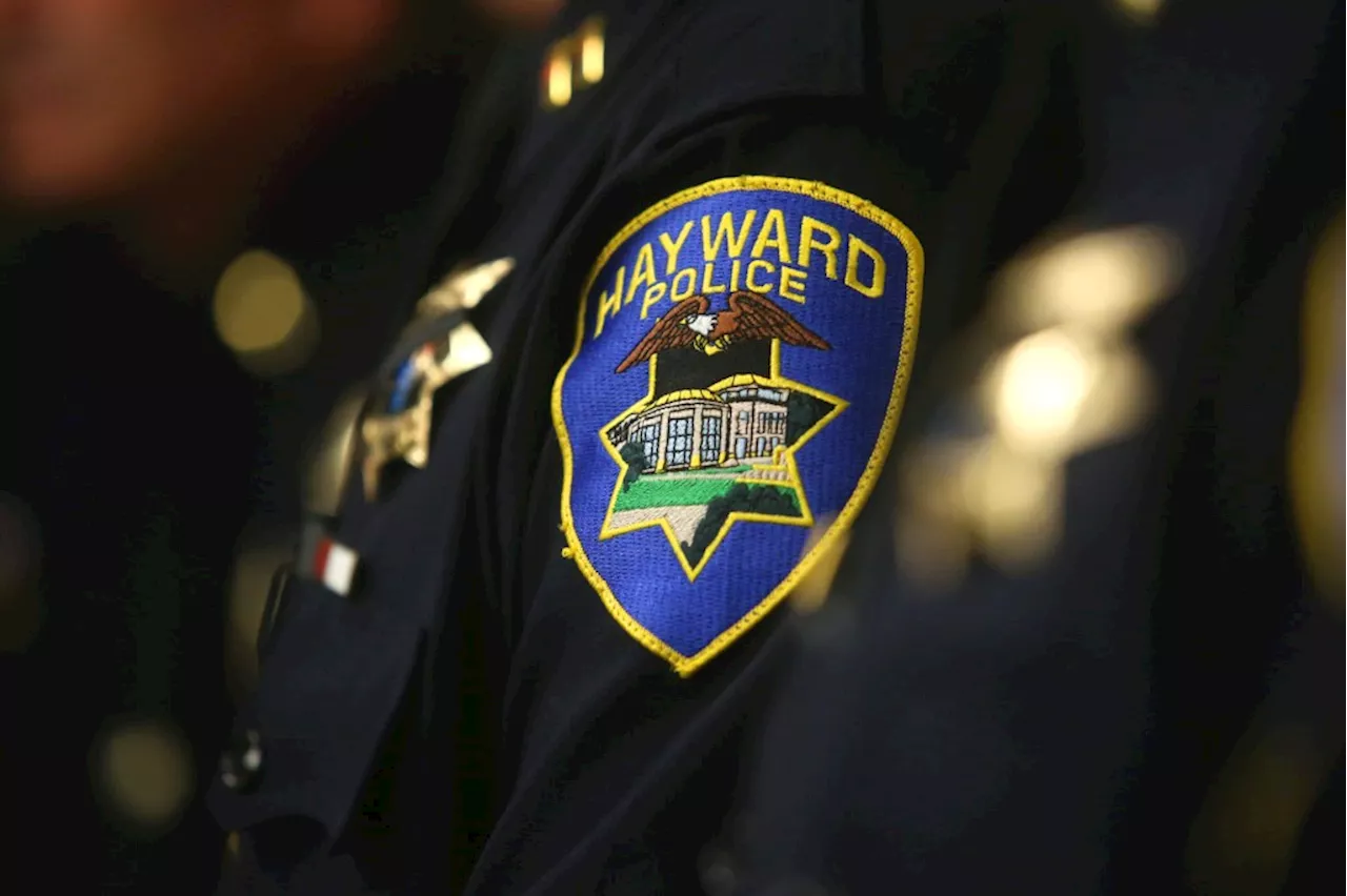 Suspect Arrested in Fatal Hit-and-Run Case in Hayward