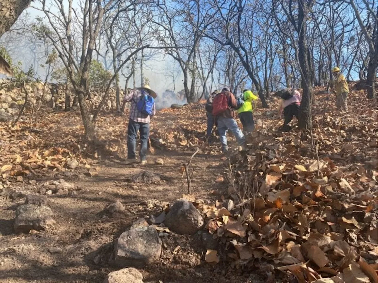 Tras horas de lucha, logran sofocar incendio forestal en la Sierra de Pénjamo