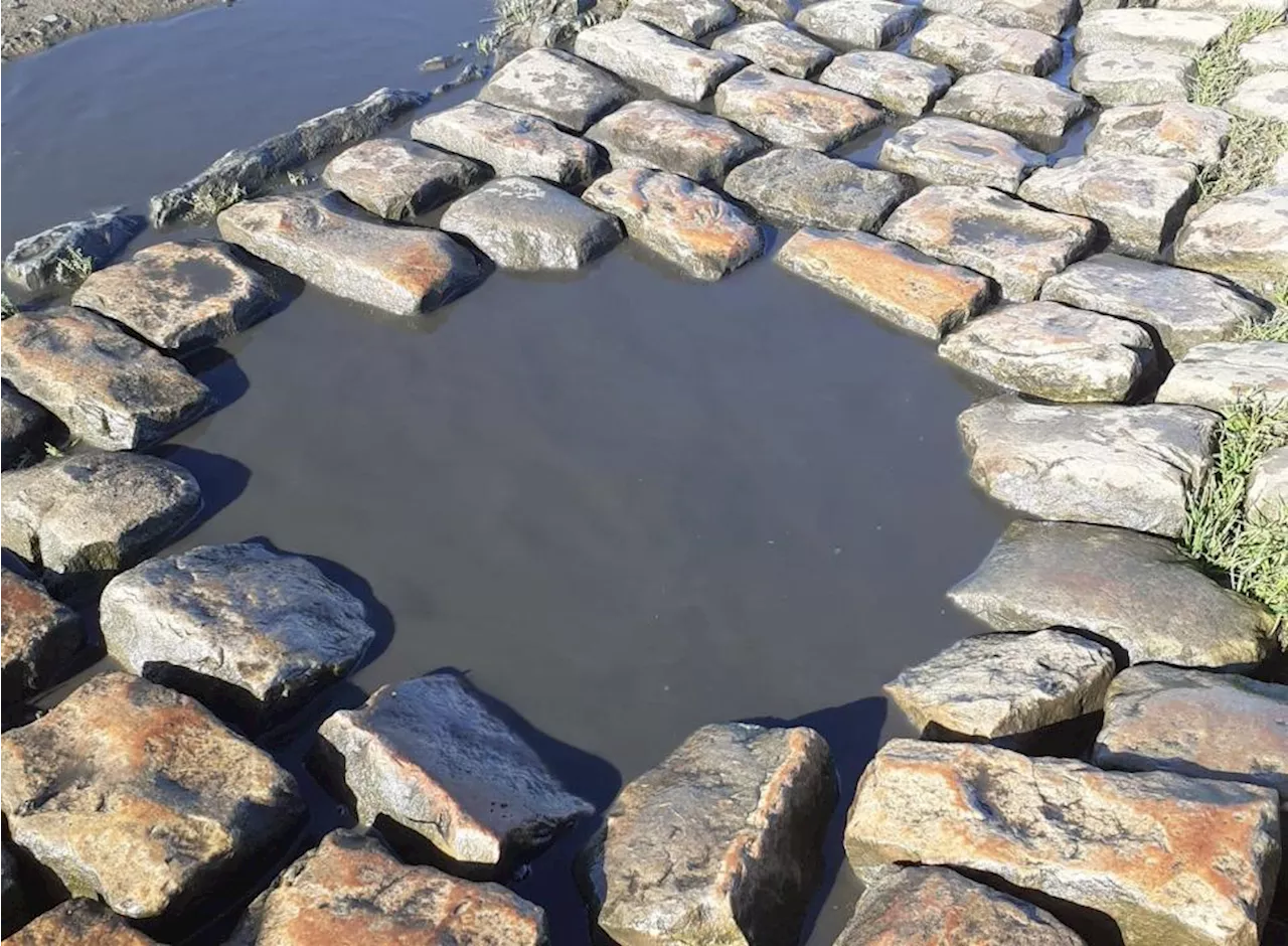 "Ridiculous" Paris-Roubaix Vandalism: Stolen Cobbles and Rubbish Left by Fans