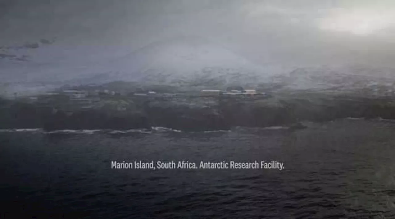 KFC Launches 'Beyond the Sea' Campaign Inspired by Marion Island Scientists