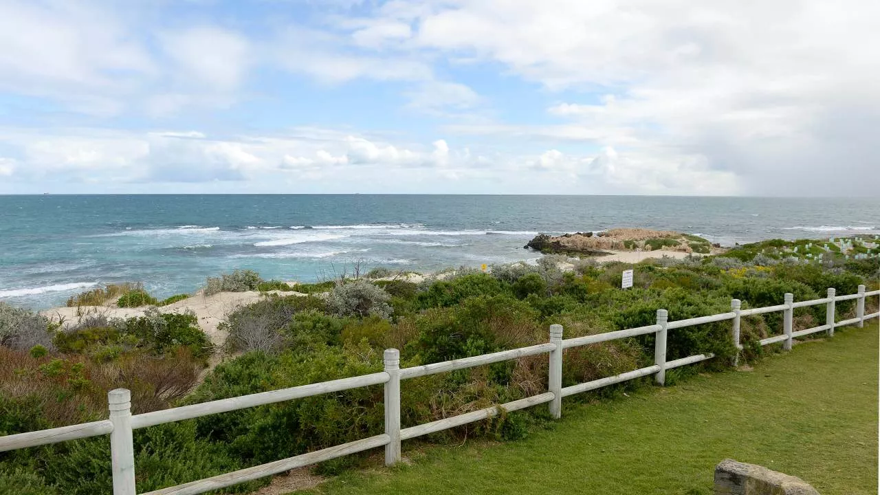 Dog fatally shot by police near popular WA beach