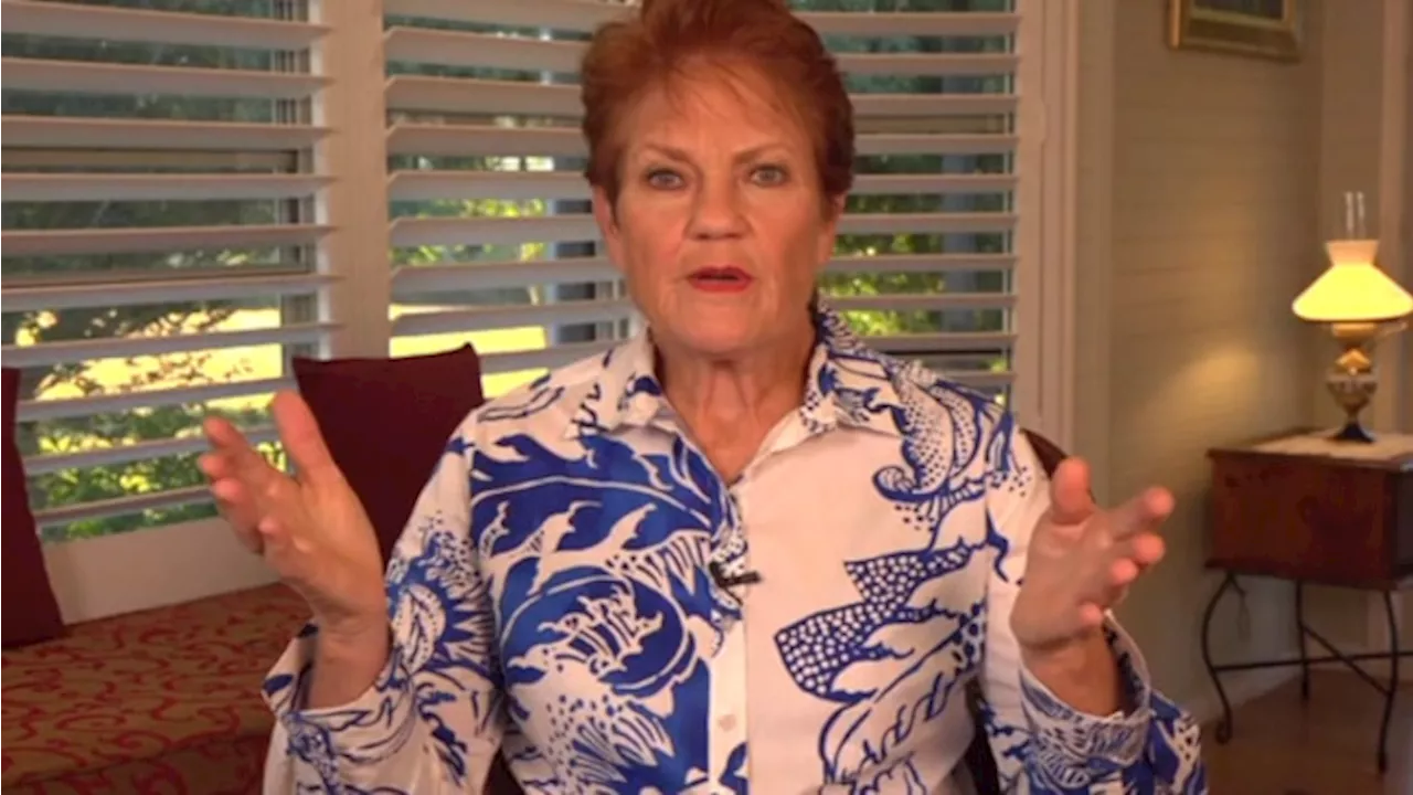 ‘Wake up’: Pauline Hanson blasts Labor over ‘disgraceful’ energy prices