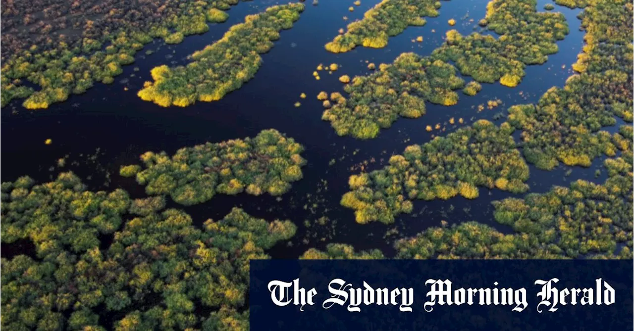 Plibersek swamps Victoria on Murray Darling water buybacks