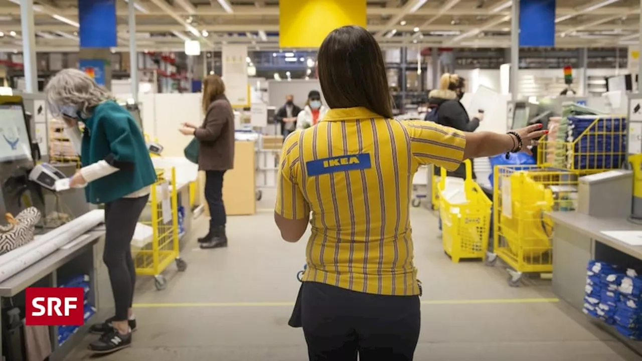 Europäische Urwälder in Gefahr - Ikea erneut in Kritik