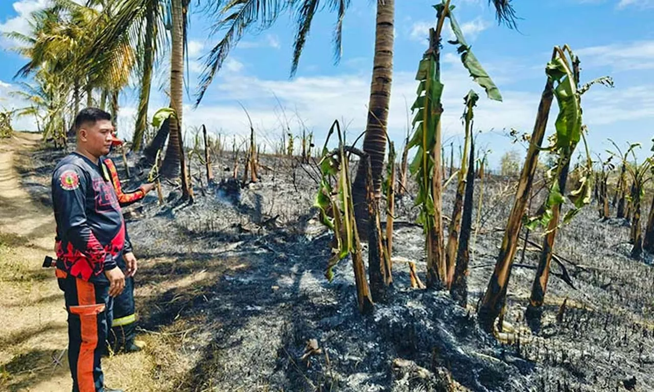 Sagingan, kalubihan apektado sa grass fire