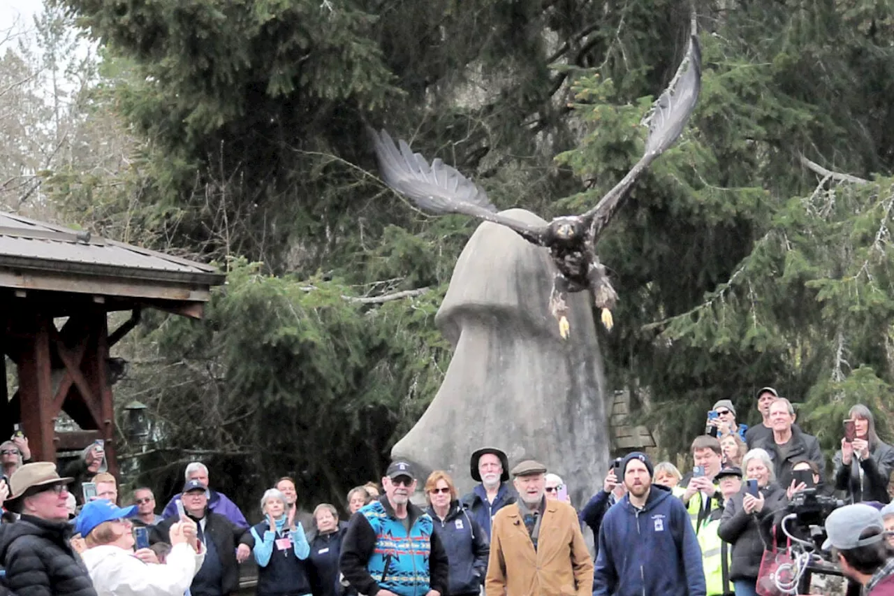 Former Calgary zookeeper emotional releasing B.C. eagle back into wild