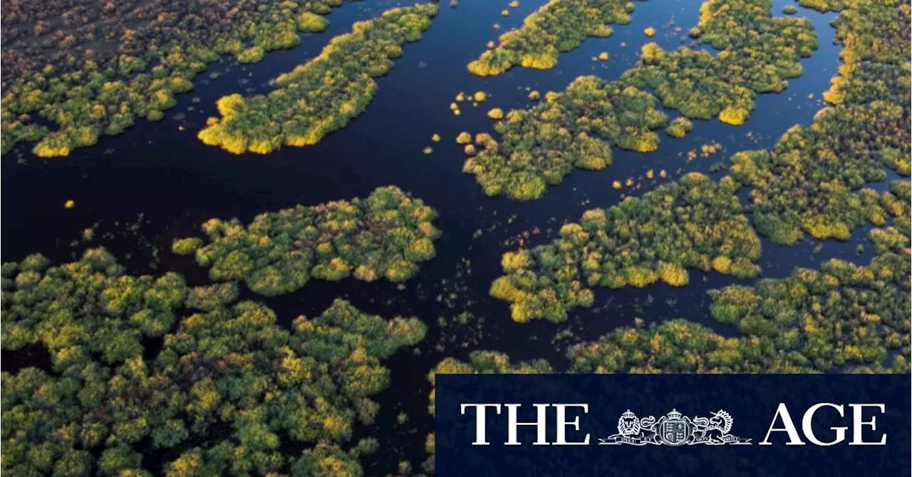 Plibersek swamps Victoria on Murray Darling water buybacks