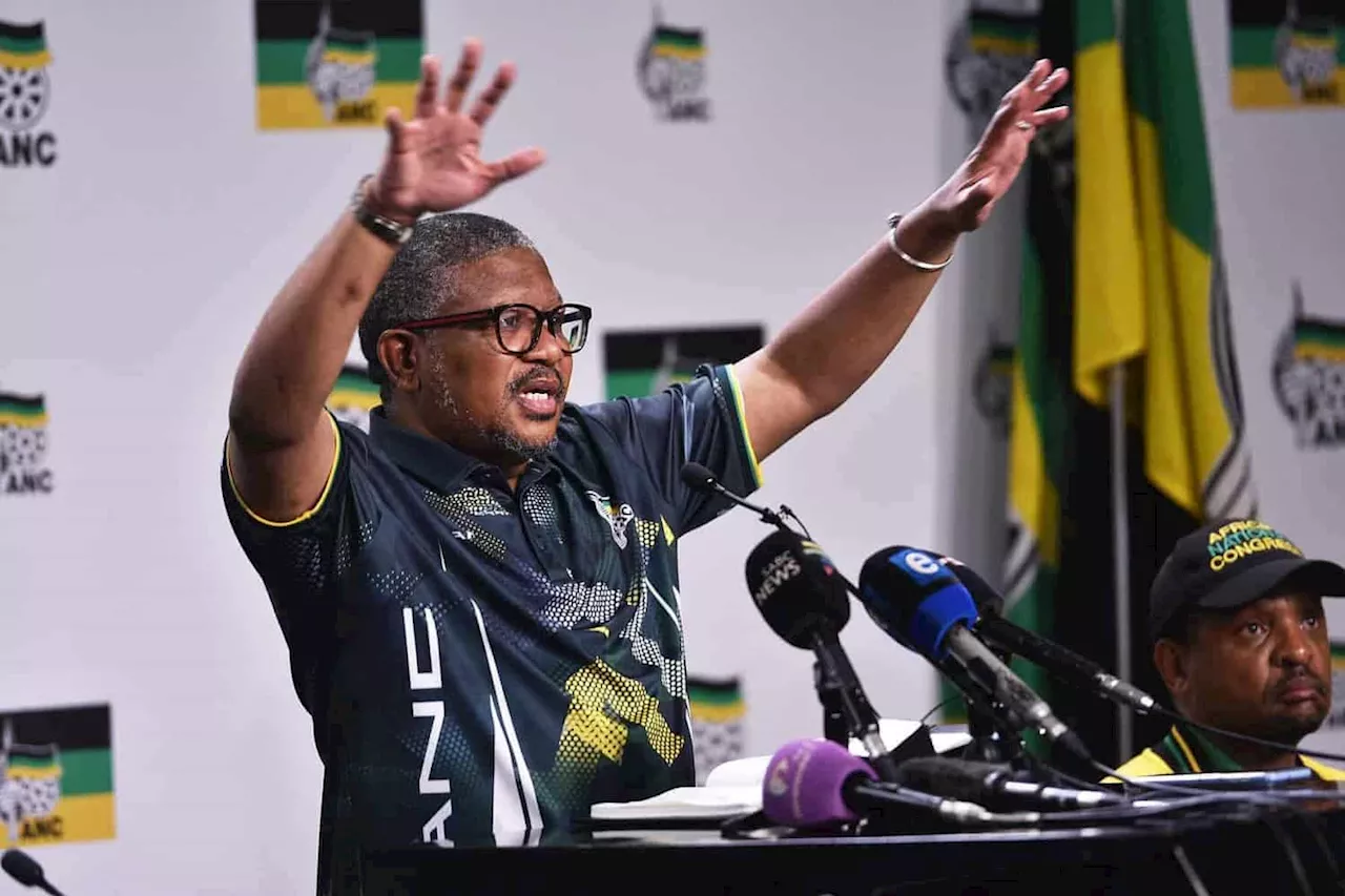 ‘Stressed Mbalula turned to a poet’: Mbalula eagerly awaits election day