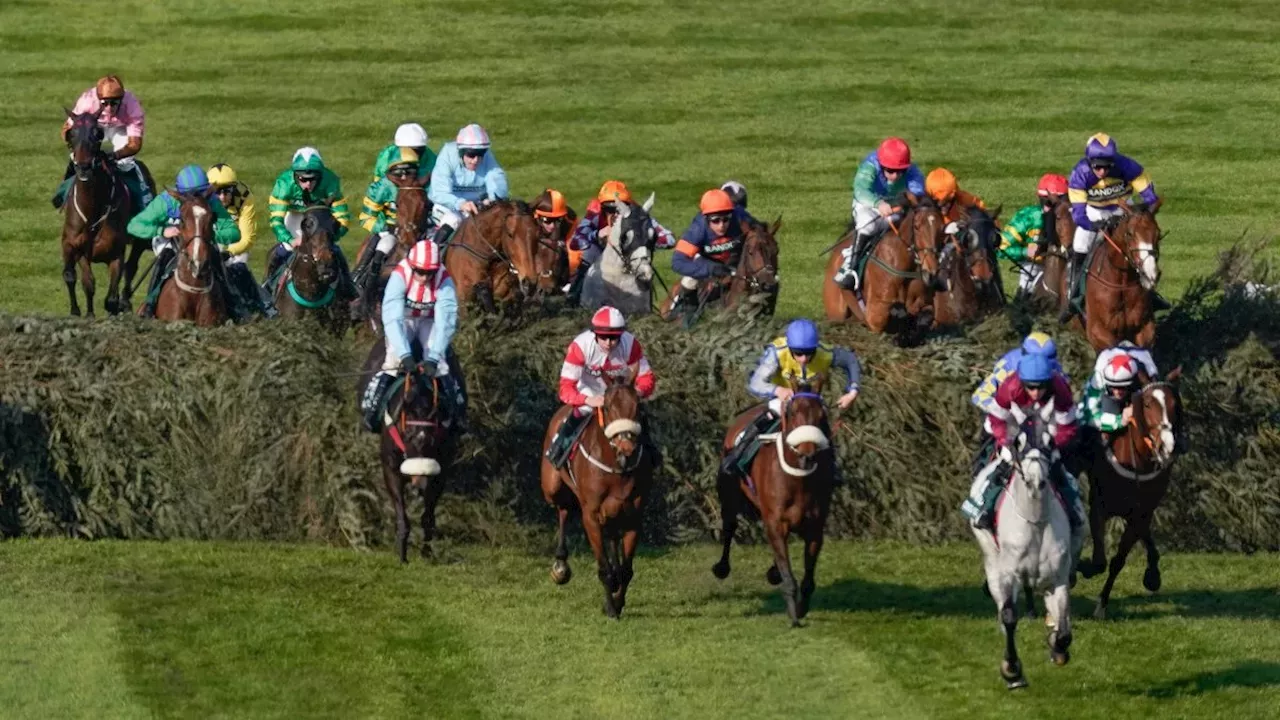 The Grand National start time, odds, runners and how to watch United