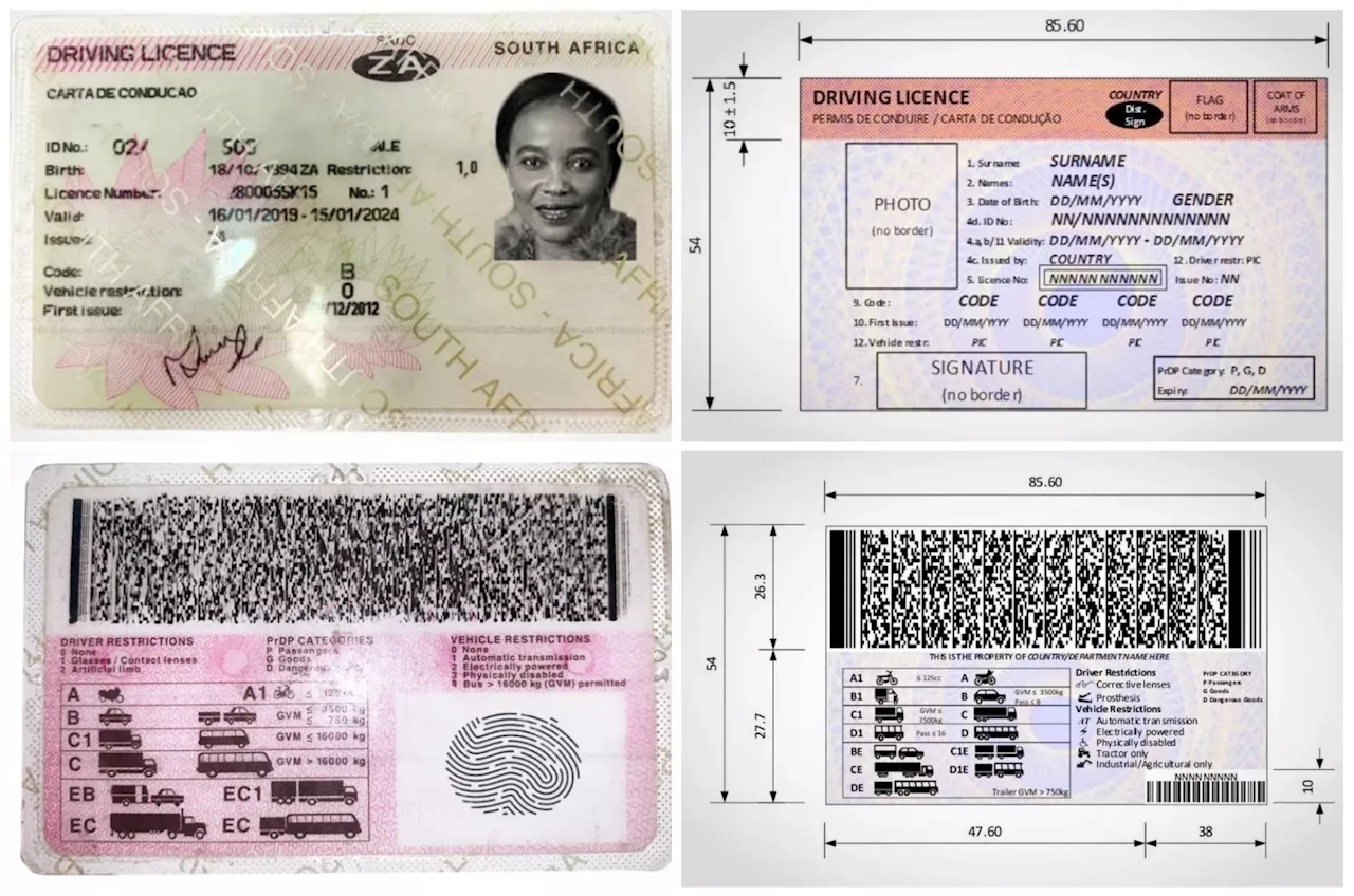 DOT misses deadline for 2024 South African driver’s licence cards ...