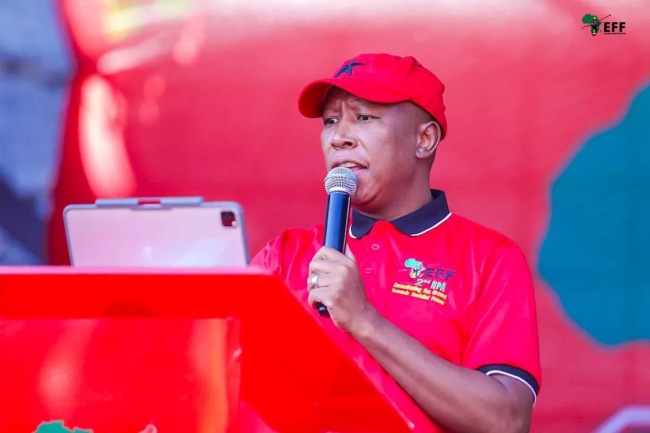 Malema responds to Steenhuisen’s claims of EFF and ANC national coalition