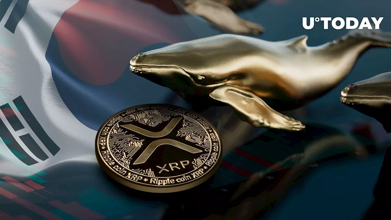 XRP Alert: Single Whale Snaps up 32 Million XRP on Major Korean Exchange