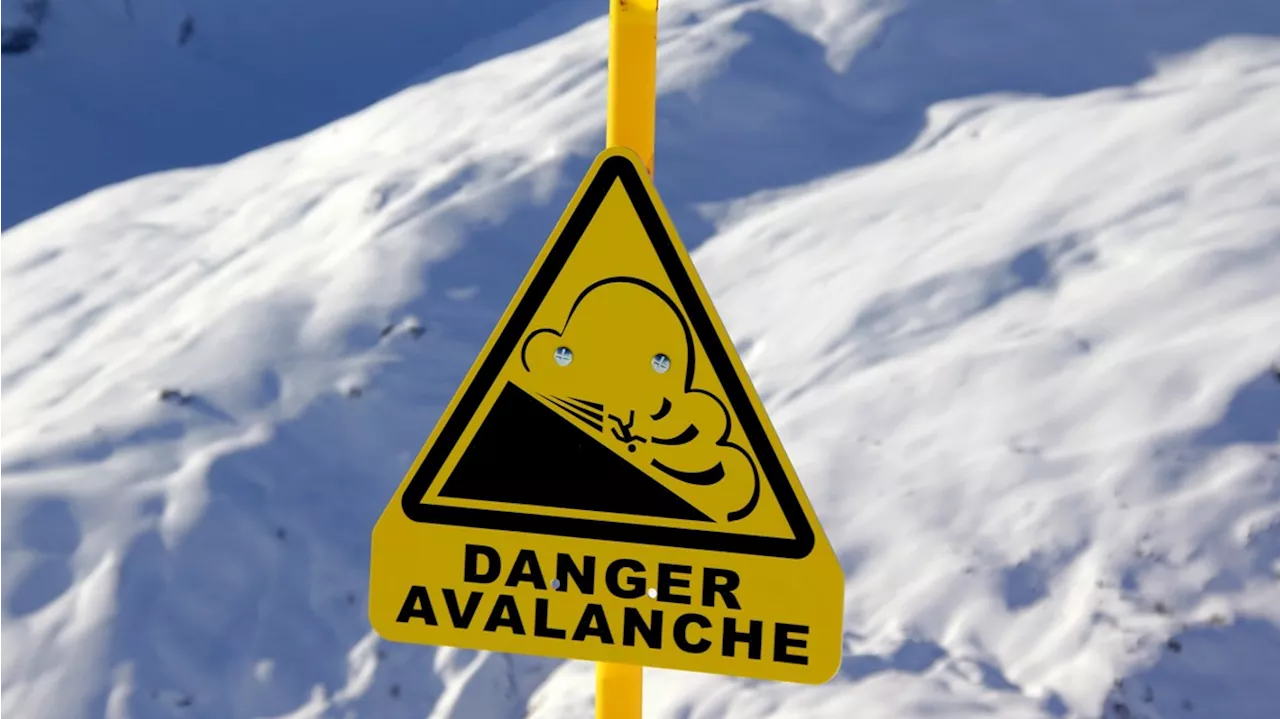 Avalanche forecaster rescued from avalanche