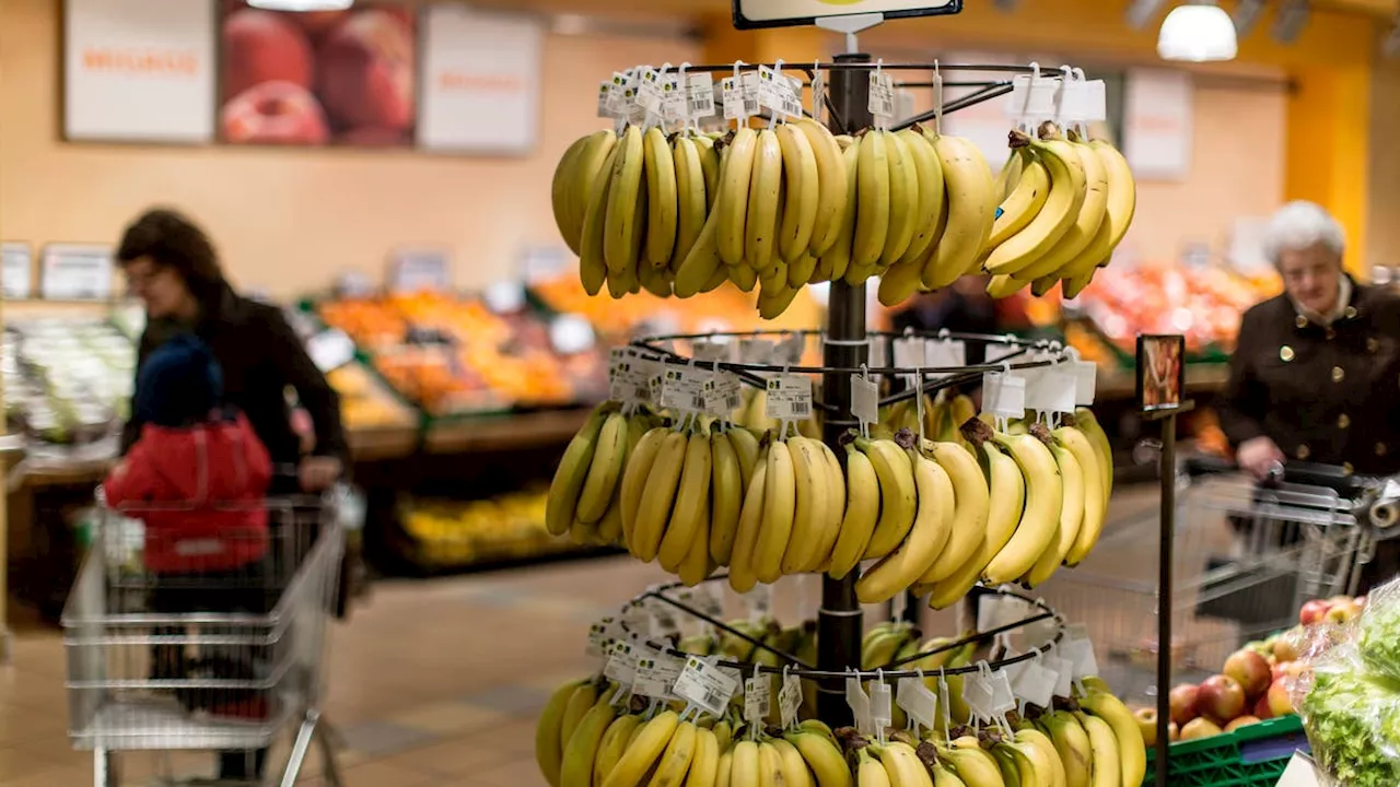 Zwei Vergehen, eine «Tatwaffe»: Wie die Migros mit Bananen betrogen wurde