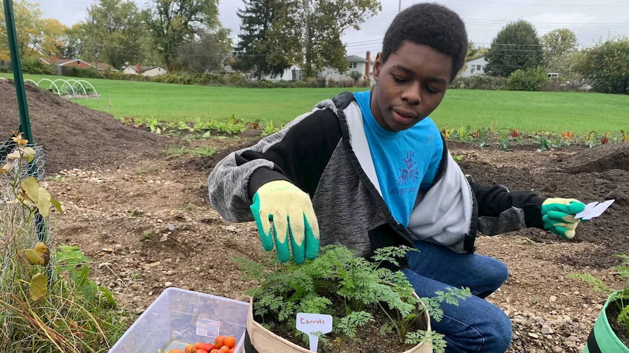 Teen entrepreneur fighting food insecurity surprised by Daymond John with 'Shark Tank' invite