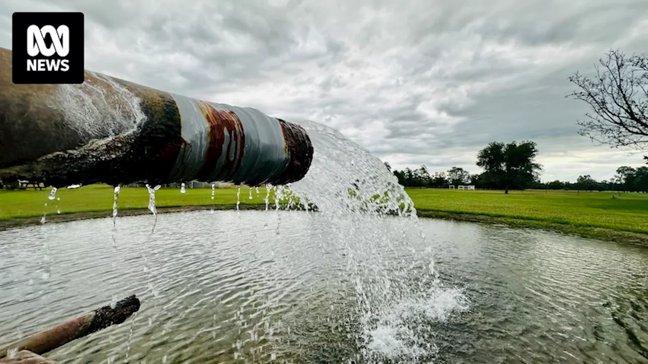 AgForce challenges Glencore's Great Artesian Basin carbon capture storage plan in Federal Court