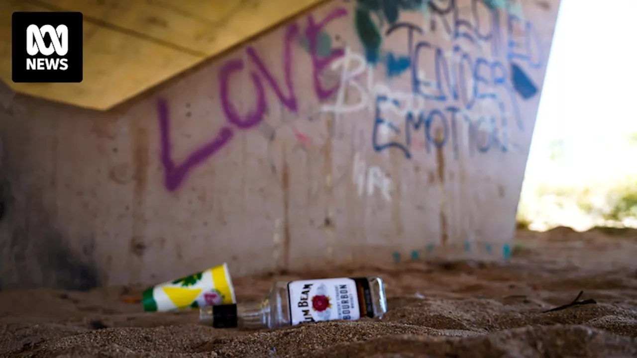 Calls for federal government to help buy back Alice Springs take-away liquor licences