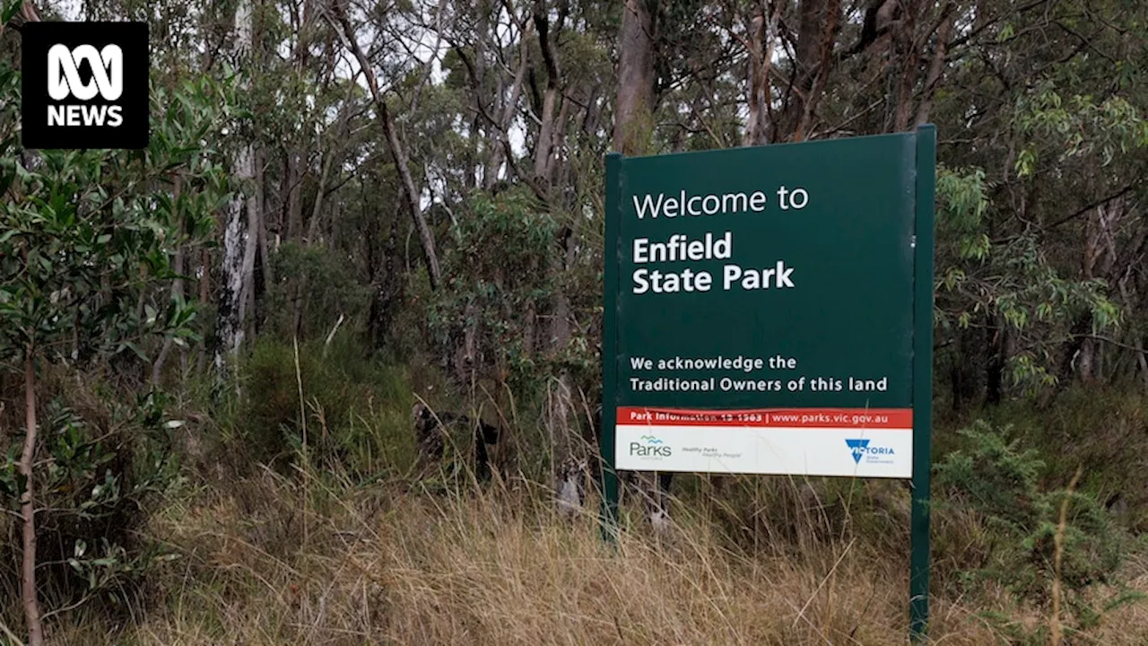 Police resume scaled-back search for body of missing Ballarat woman Samantha Murphy