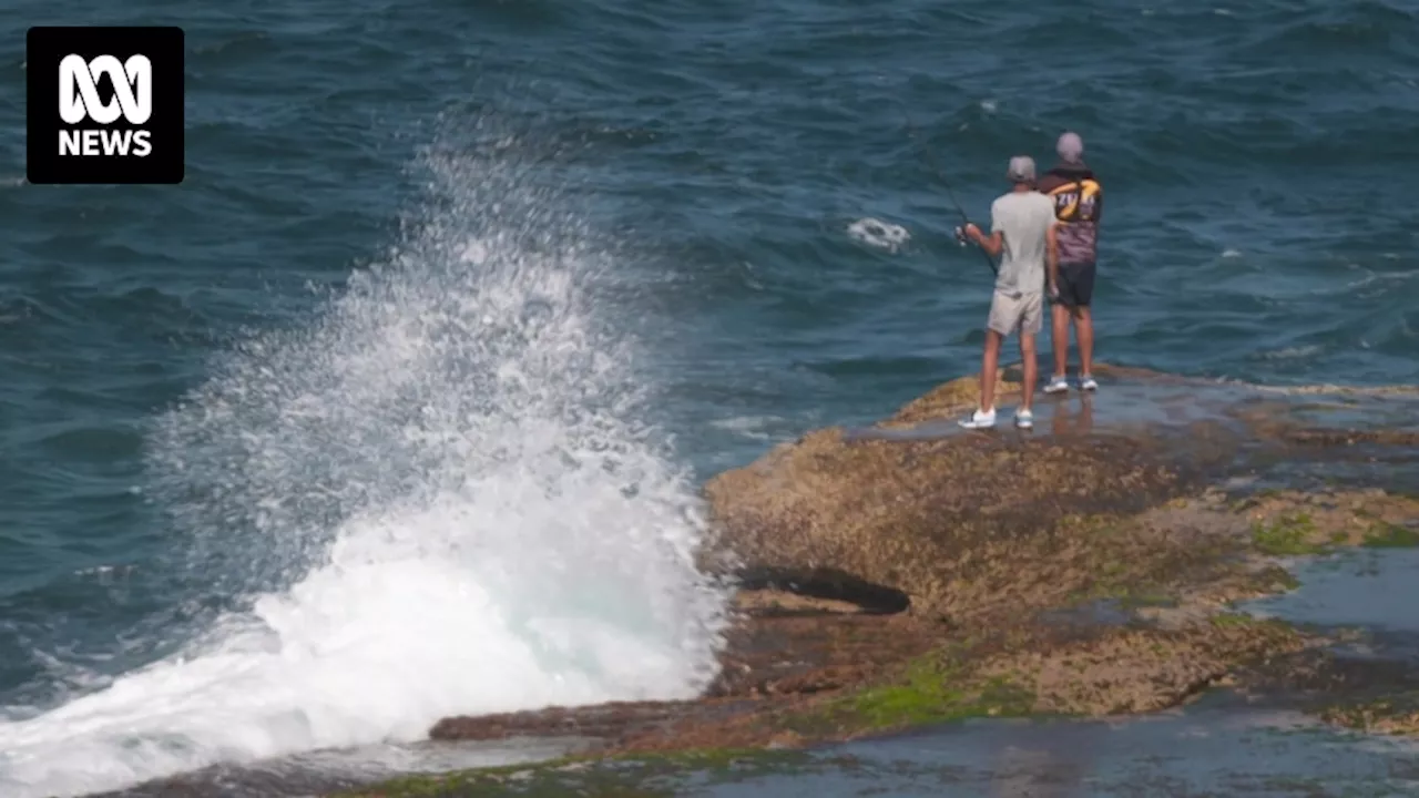 Rock fishing safety campaign to target men from non-English-speaking backgrounds in Sydney