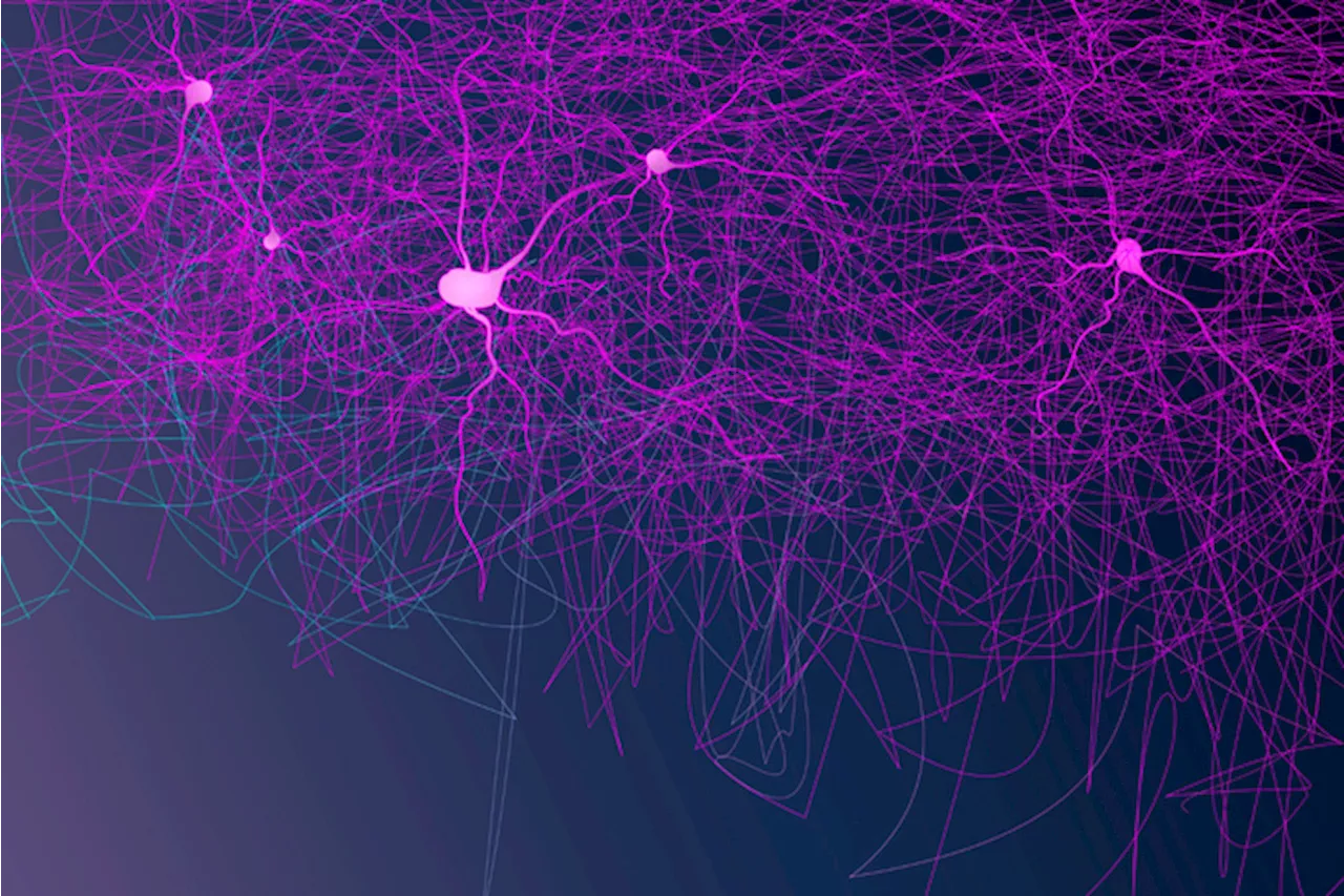 Neuroni-zombie fanno luce sui meccanismi dell'apprendimento