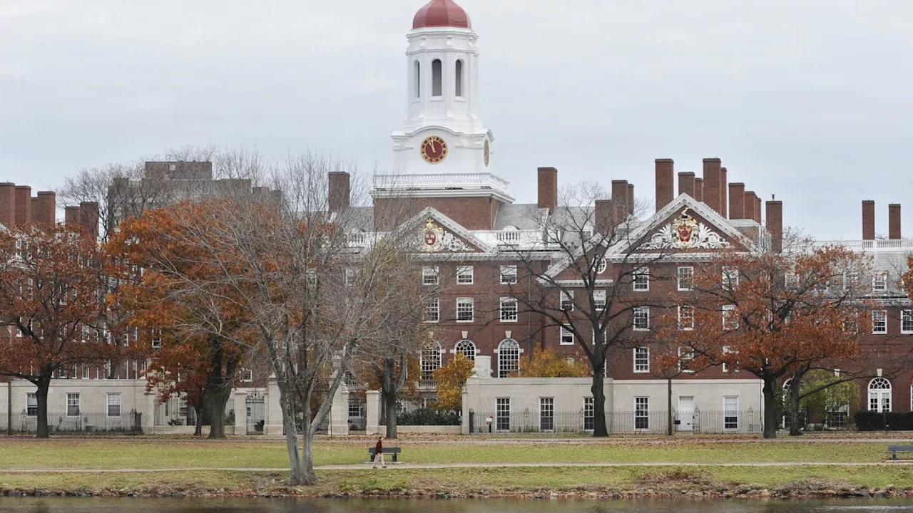 Harvard again requiring standardized test scores beginning with the class of 2029