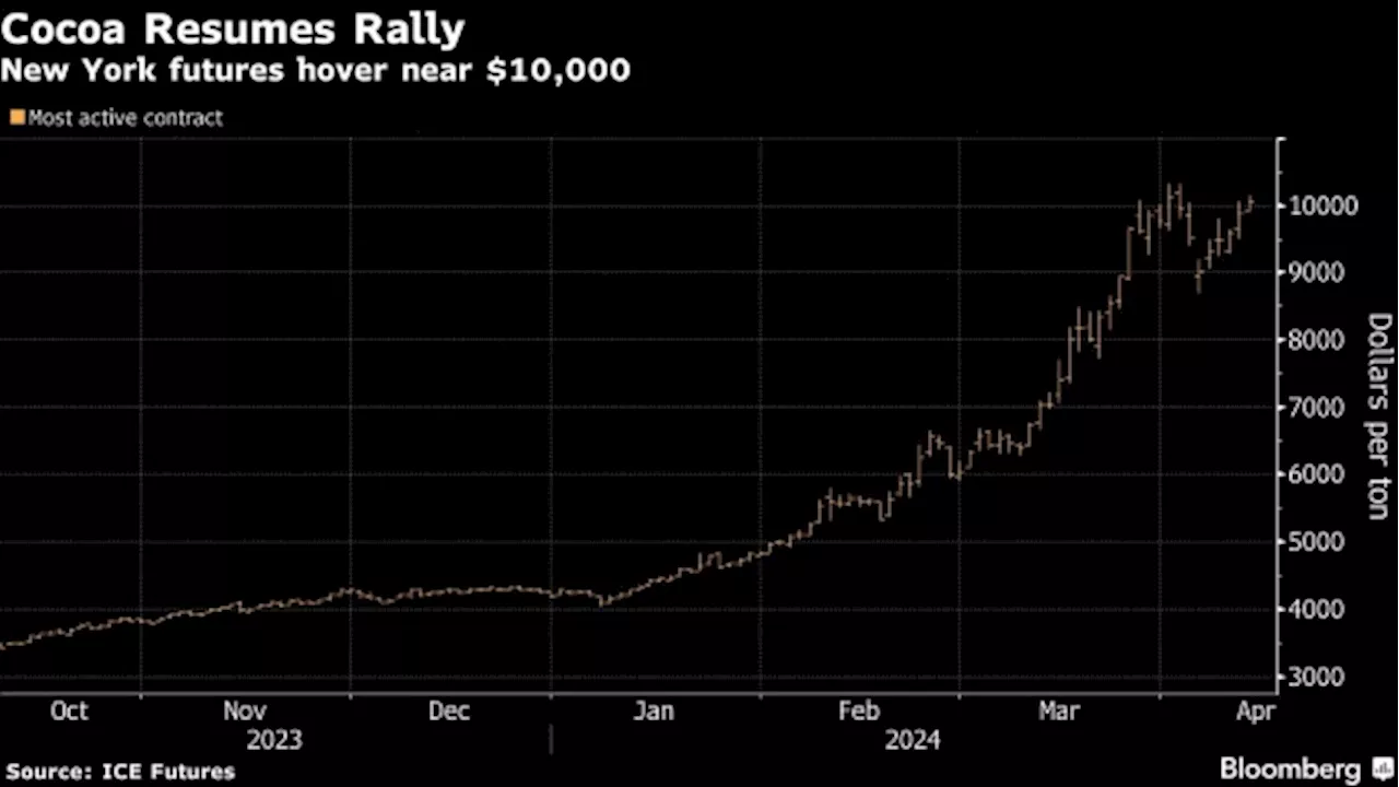 Cocoa Prices Climb for Fifth Day as Tight Supply Pain Lingers