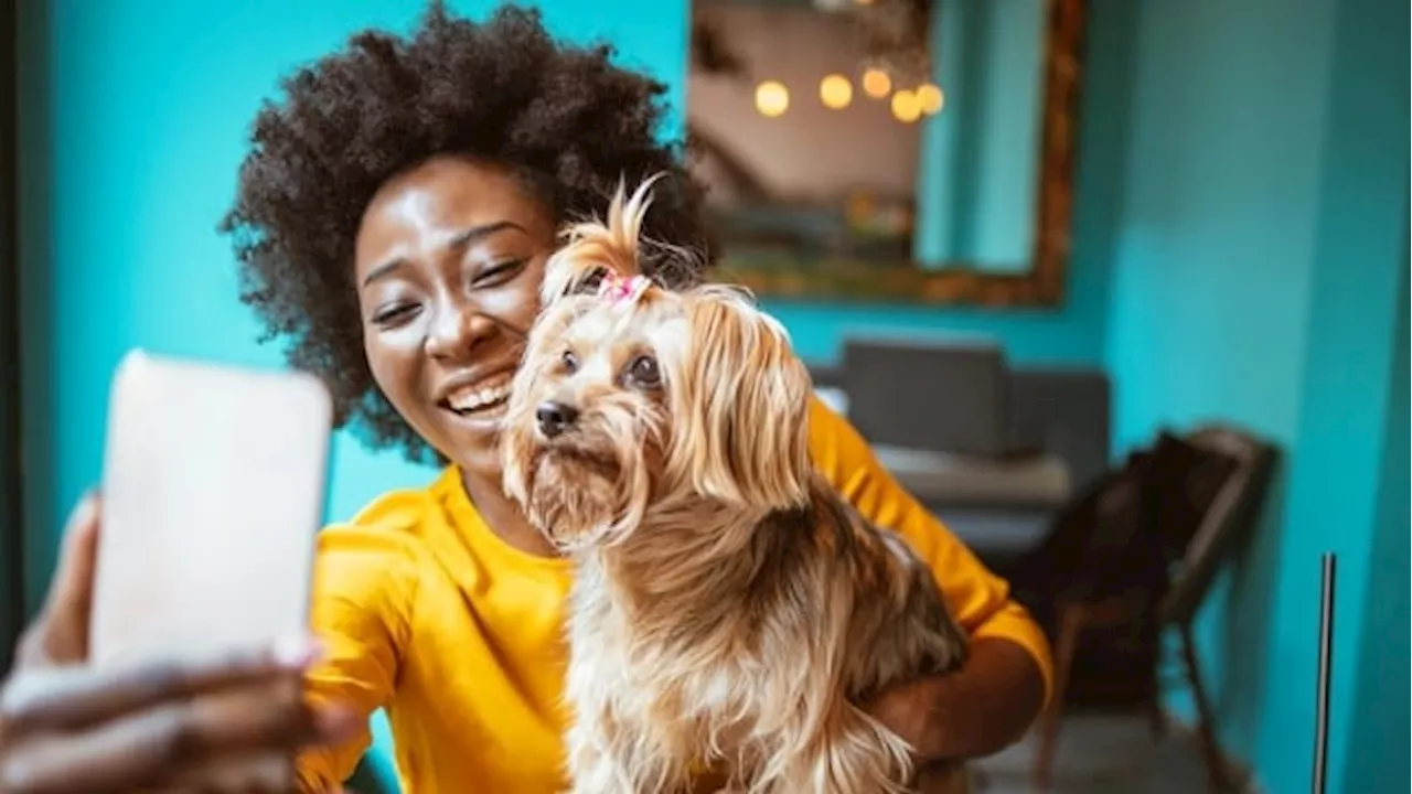 How to take a portrait with your pet