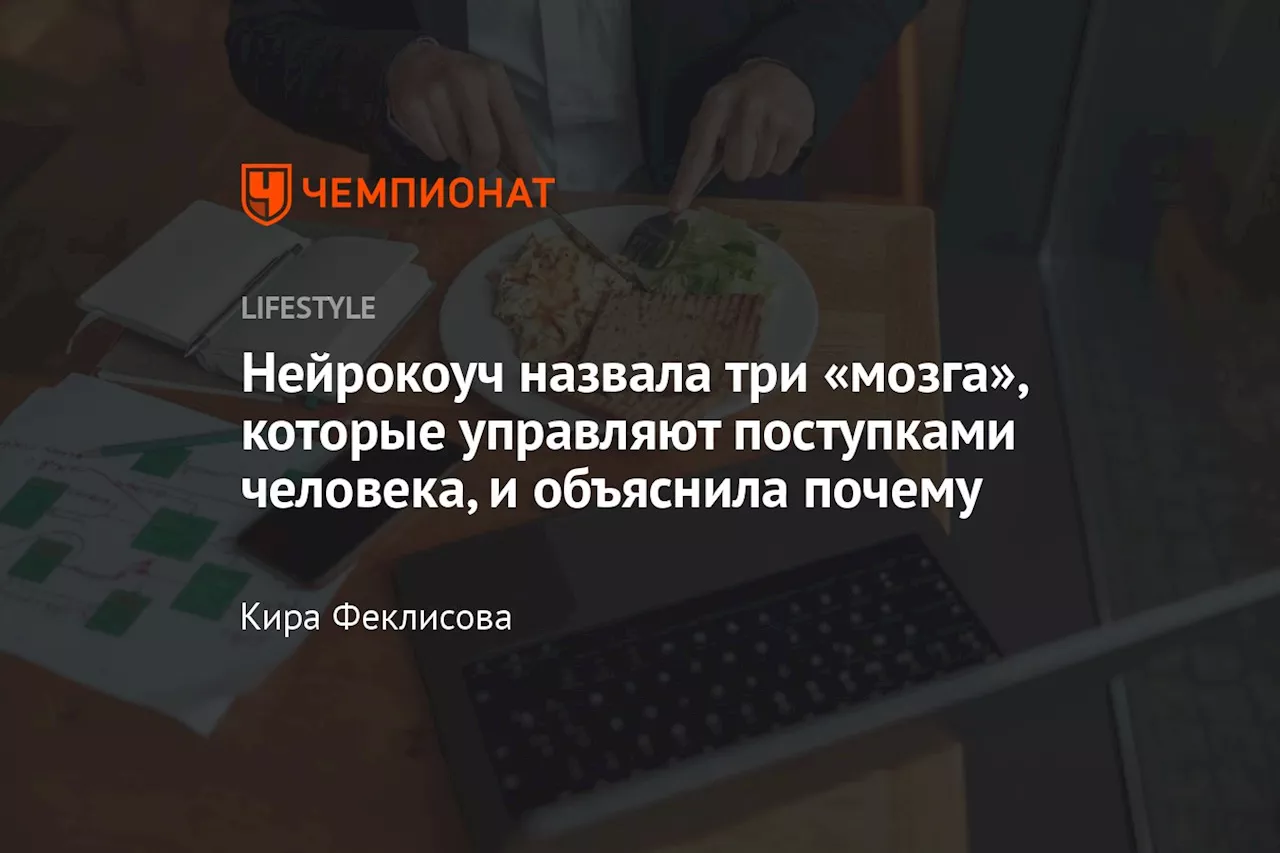 Нейрокоуч назвала три «мозга», которые управляют поступками человека, и объяснила почему